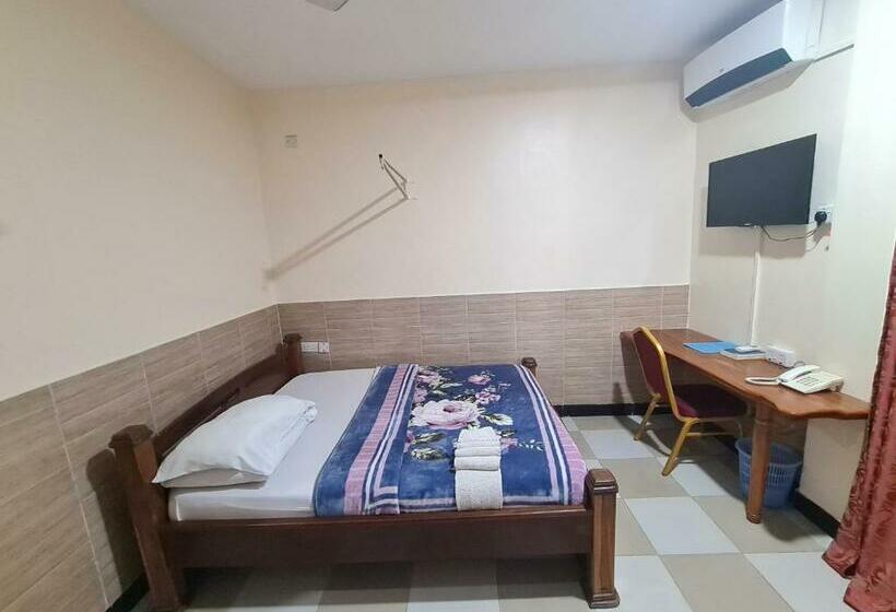 スタンダードルーム, Dolphin