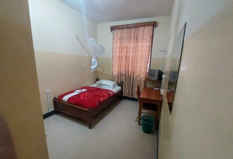 エコノミールーム, Dolphin