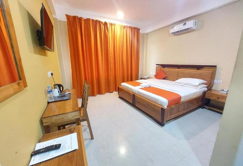 デラックスルーム, Dolphin