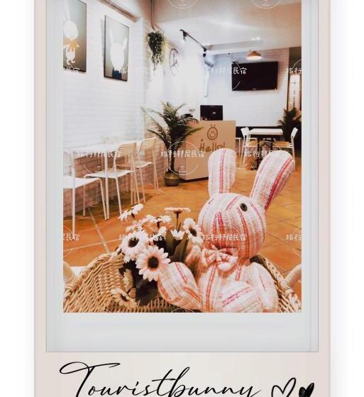 چادر با خدمات رفاهی استاندارد, Tourist Bunny Hostel