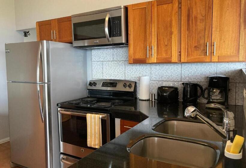 شقة ديلوكس غرفة واحدة, Villas Aracari