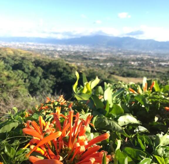 شقة غرفة واحدة ذات إطلالة, Villas Aracari