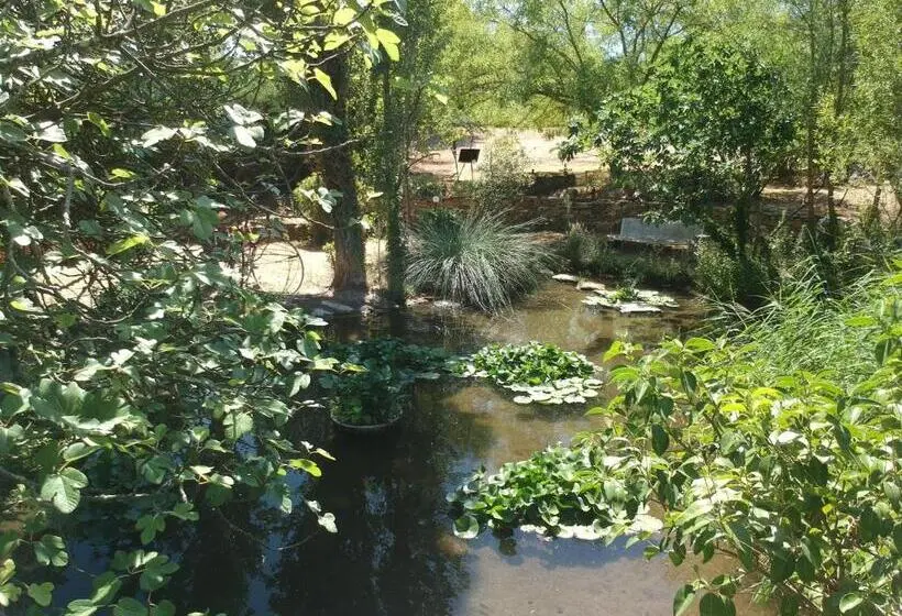 Perhehuone, Le Fer En Cèze