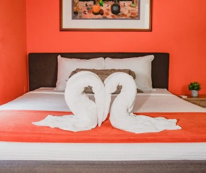 اتاق لوکس, Conturce Hostel