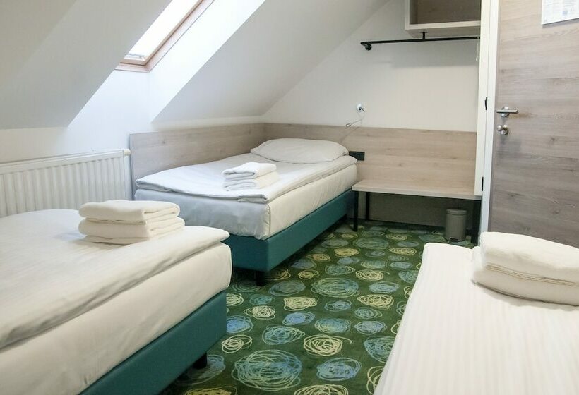 اتاق استاندارد سه تخته با سرویس بهداشتی مشترک, Center Novo Mesto