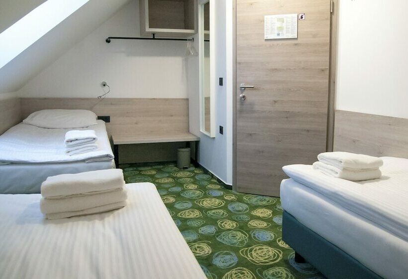 اتاق استاندارد سه تخته با سرویس بهداشتی مشترک, Center Novo Mesto