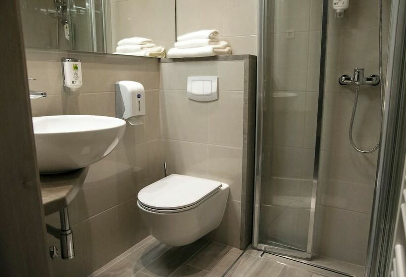 اتاق استاندارد سه تخته با سرویس بهداشتی مشترک, Center Novo Mesto