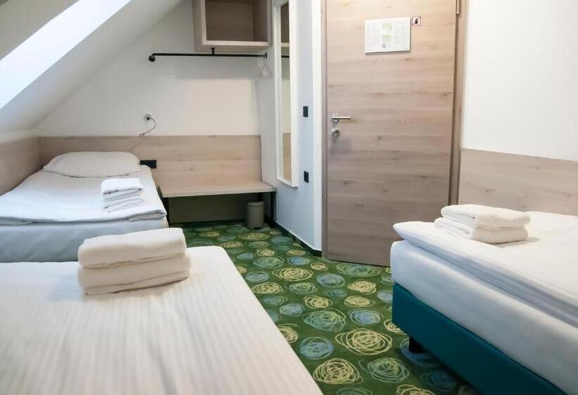 اتاق استاندارد سه تخته با سرویس بهداشتی مشترک, Center Novo Mesto