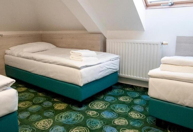 اتاق استاندارد سه تخته با سرویس بهداشتی مشترک, Center Novo Mesto