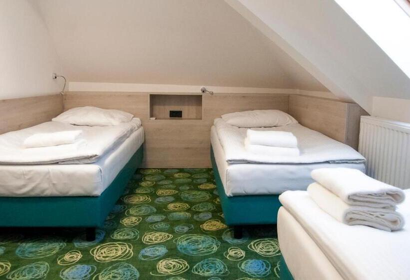 اتاق استاندارد سه تخته با سرویس بهداشتی مشترک, Center Novo Mesto