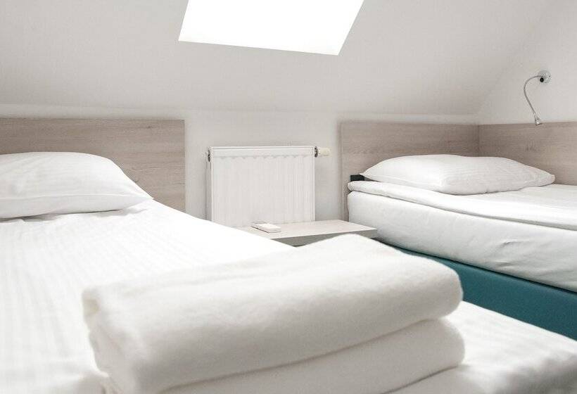 اتاق استاندارد با سرویس بهداشتی مشترک, Center Novo Mesto