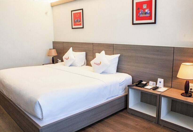 اتاق سوپریور با چشمانداز شهر, The Nalod Da Nang