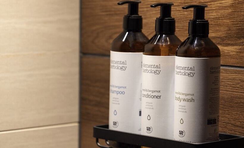 이그제큐티브 룸, Novotel Nara