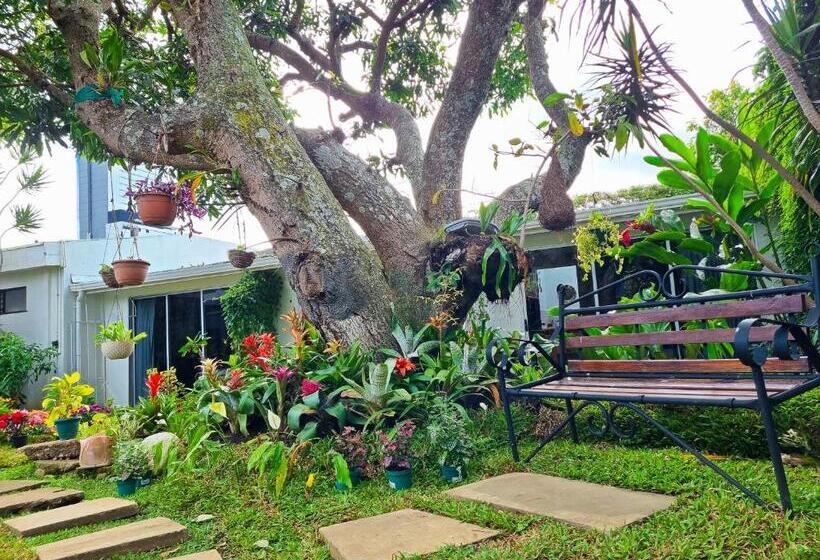 اتاق استاندارد, Casa Jardin Del Mango