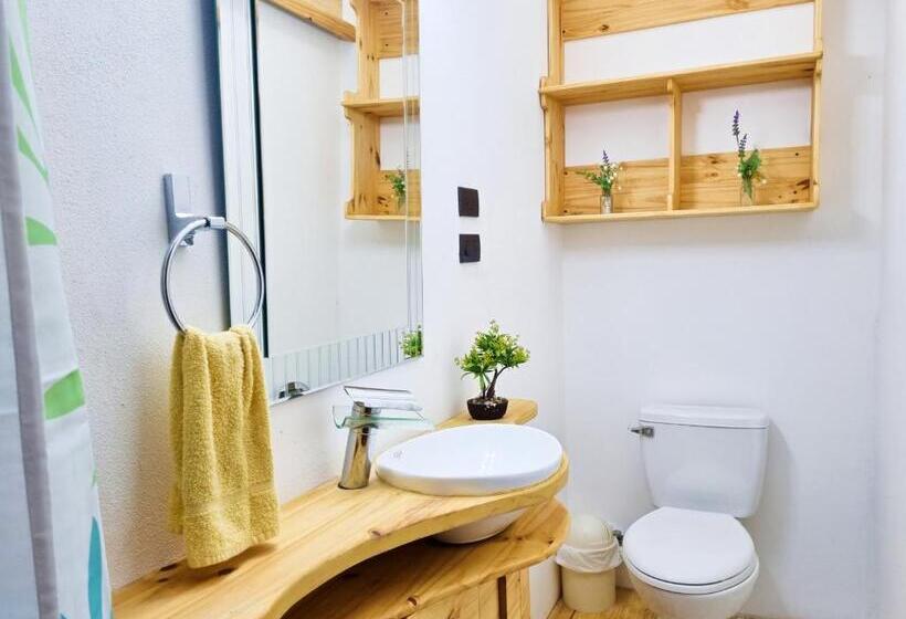 Апартаменты 1 Спальня, Casa Jardin Del Mango