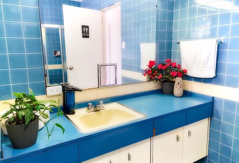 Номер Basic, Casa Jardin Del Mango