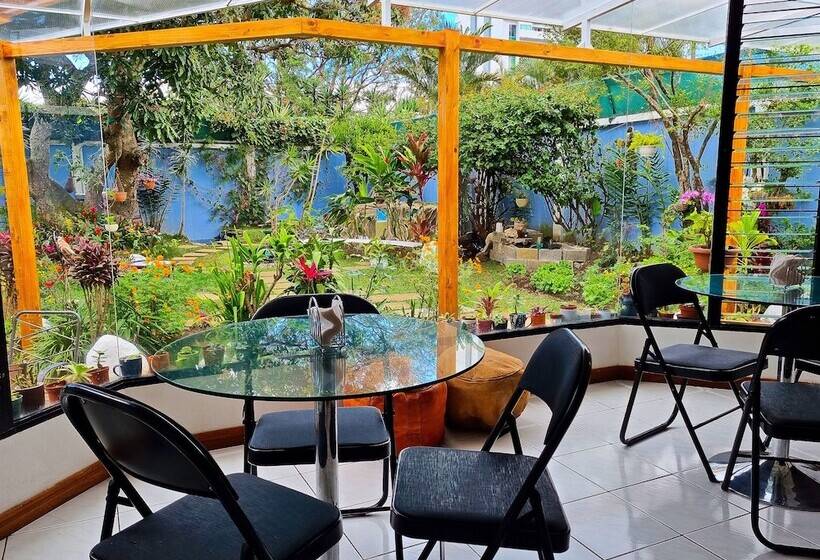 Номер Стандарт Совместная Ванная, Casa Jardin Del Mango