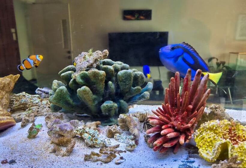 Номер Стандарт Совместная Ванная, Casa Jardin Del Mango