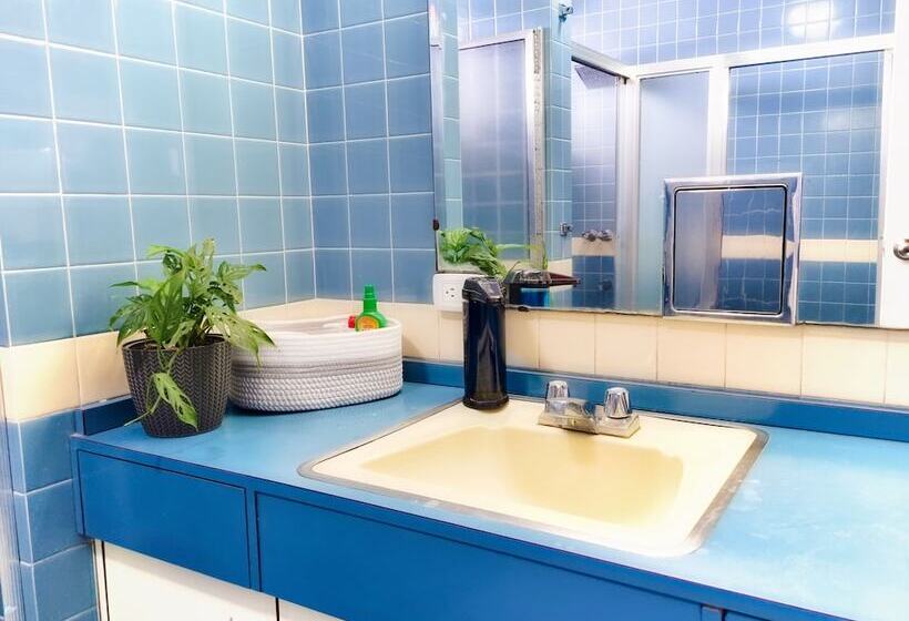 اتاق استاندارد با سرویس بهداشتی مشترک, Casa Jardin Del Mango