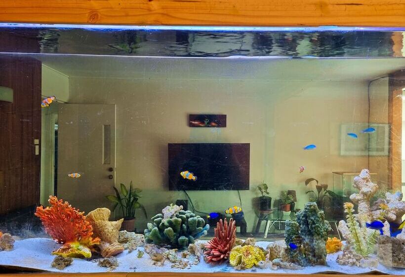 Номер Стандарт, Casa Jardin Del Mango