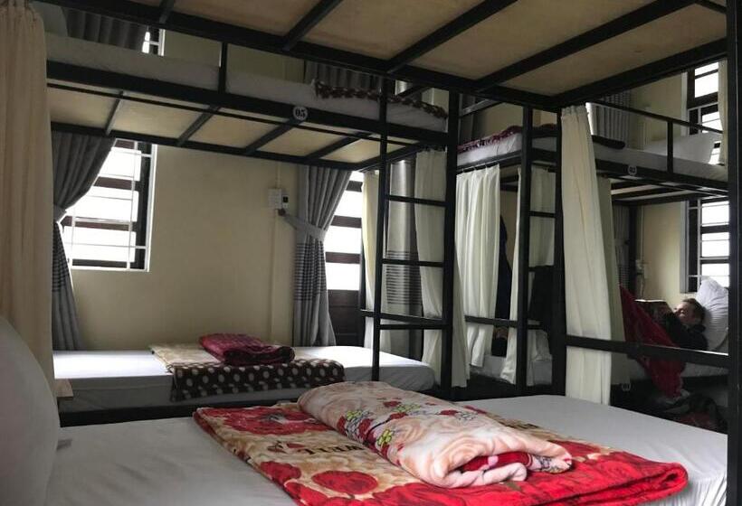 تختخواب در اتاق مشترک, Bonjour Hostel