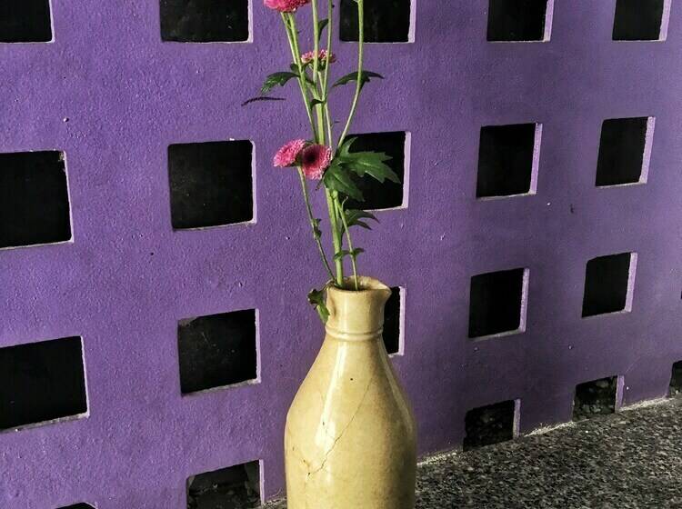 اتاق استاندارد با تخت دوبل, Hai Nguyet Hometel