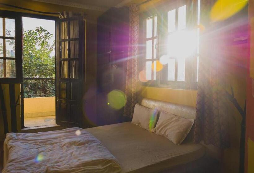 اتاق لوکس با بالکن, Wander Thirst