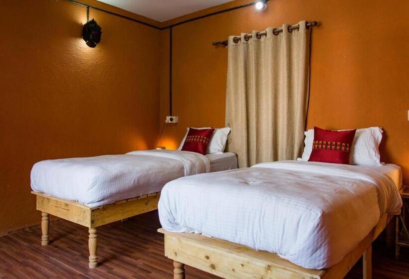 اتاق استاندارد, Wander Thirst