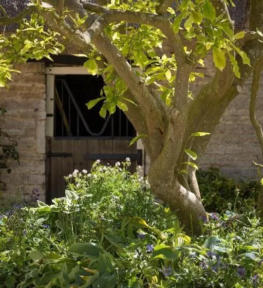 デラックスルーム, The Old Manor House