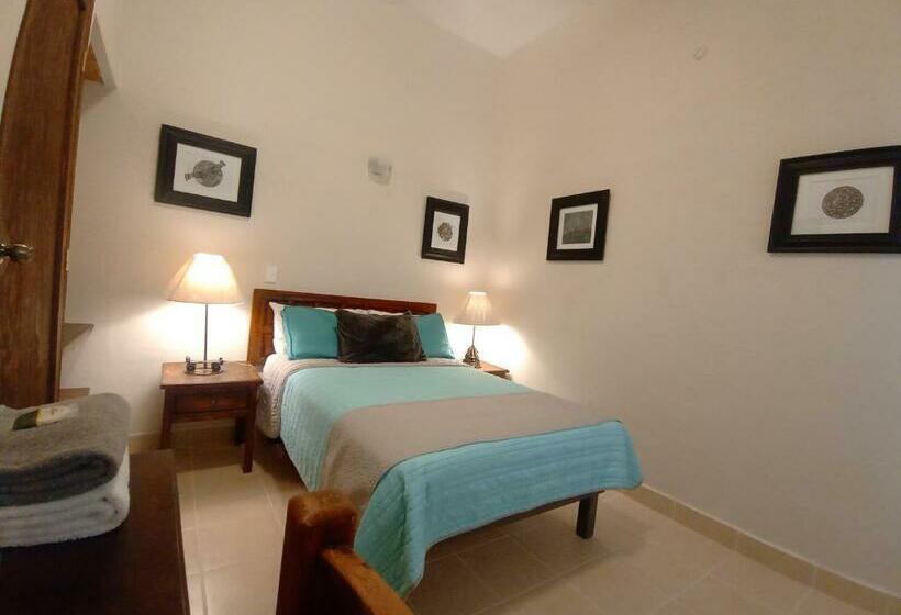 غرفة قياسية, Doña Chela En Calvillo