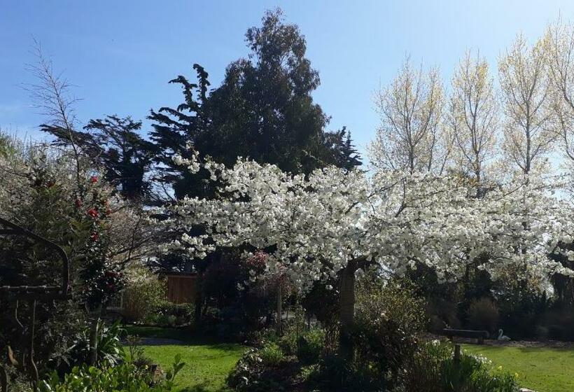 اتاق استاندارد با چشمانداز باغ, Folster Gardens Bed And Breakfast