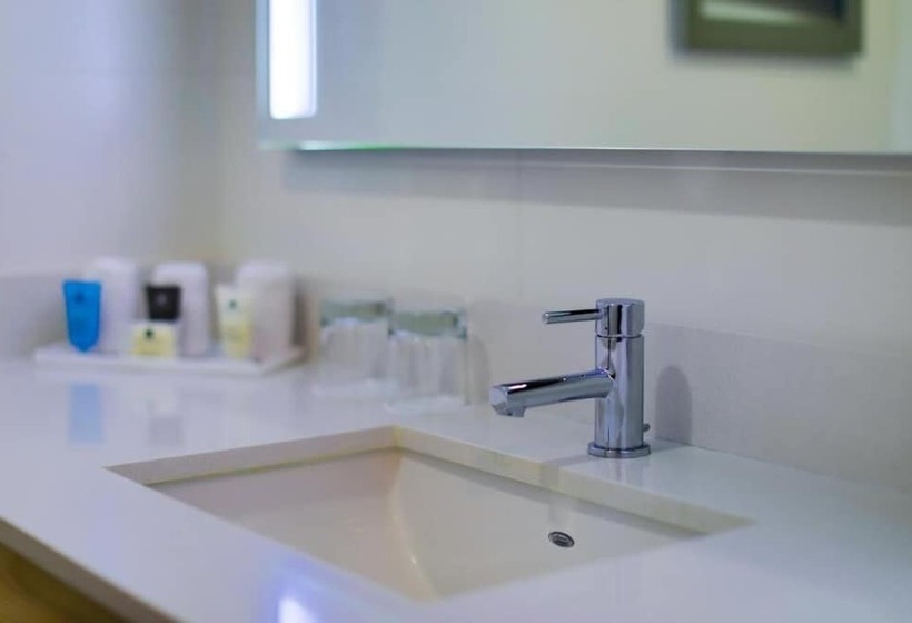 غرفة قياسية, Gran Hotel De Puebla By Hnf