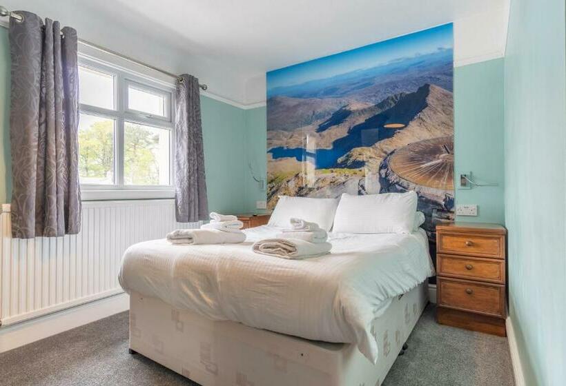 スタンダードルーム, Padarn