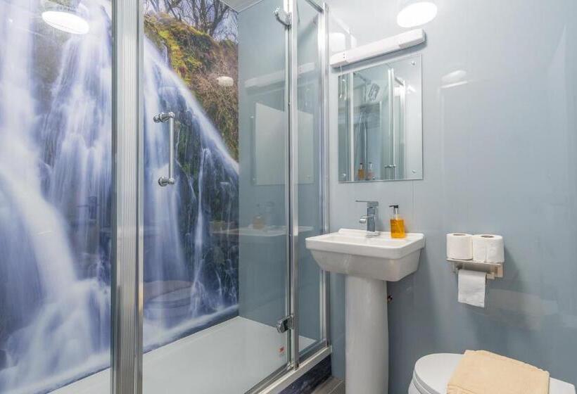 スタンダードルーム, Padarn