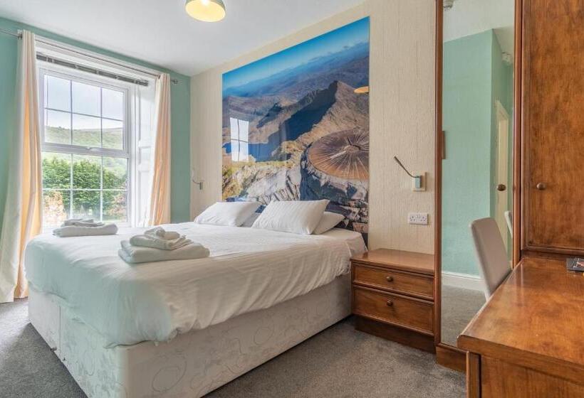 スタンダードルーム, Padarn