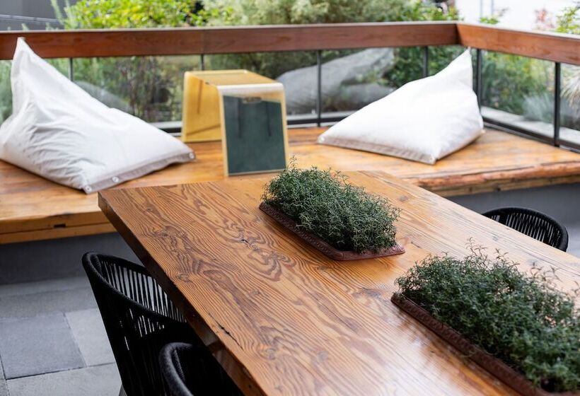 Balkonlu Junior Süit, Trunkcat Street