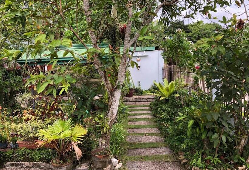 اتاق استاندارد با سرویس بهداشتی مشترک, Villa 301 B&b