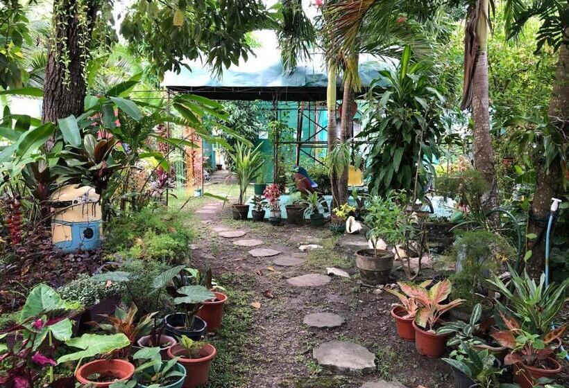 اتاق استاندارد با سرویس بهداشتی مشترک, Villa 301 B&b