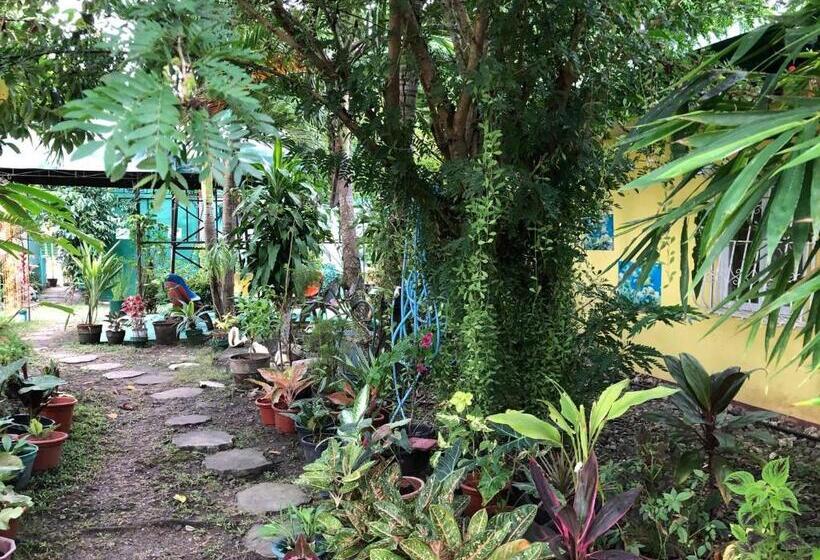 اتاق استاندارد با سرویس بهداشتی مشترک, Villa 301 B&b