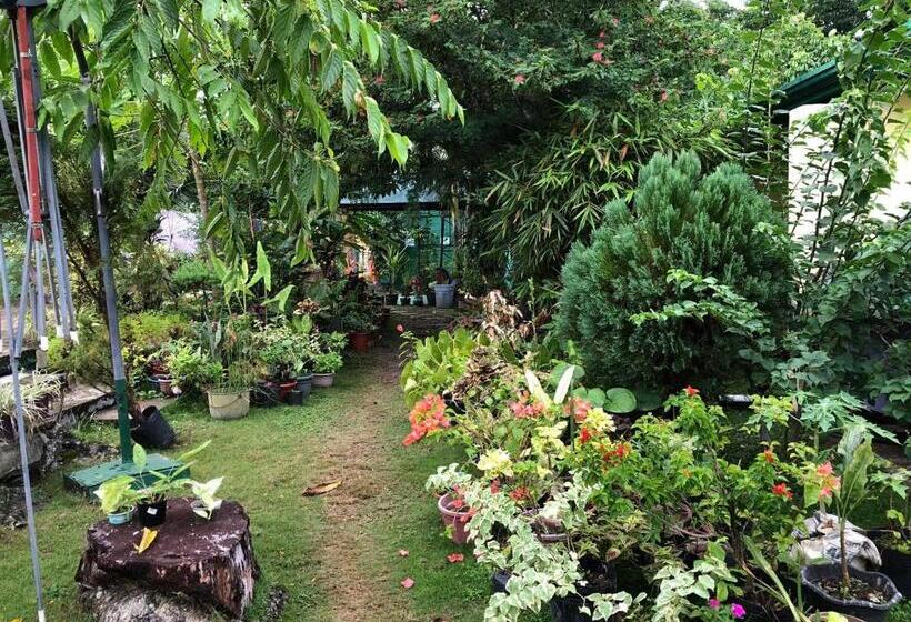 اتاق استاندارد با سرویس بهداشتی مشترک, Villa 301 B&b