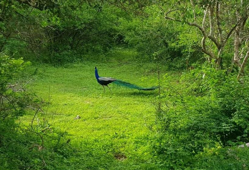 标准间, Lakmal Homestay ,10 Minutes To Sigiriya Rock