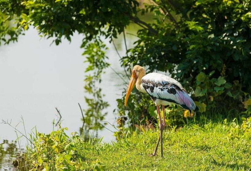 标准间, Lakmal Homestay ,10 Minutes To Sigiriya Rock