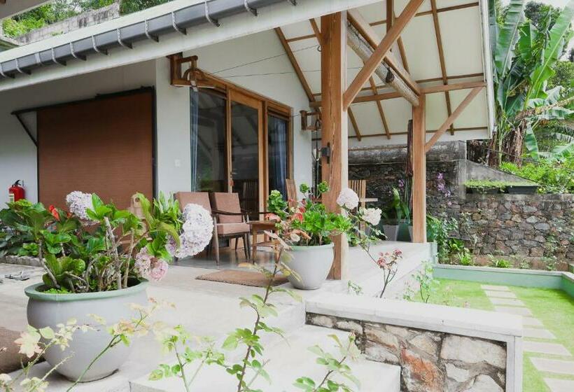 Standardrum Bergsutsikt, The One Ella