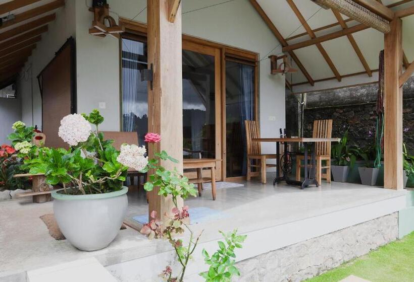 Standardrum Bergsutsikt, The One Ella