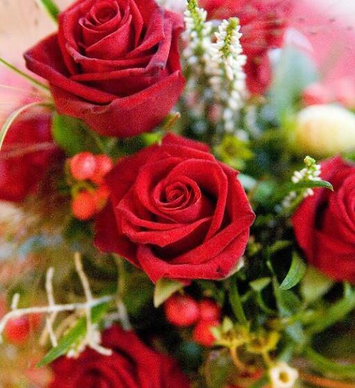 Номер Стандарт, Restaurant Straussen