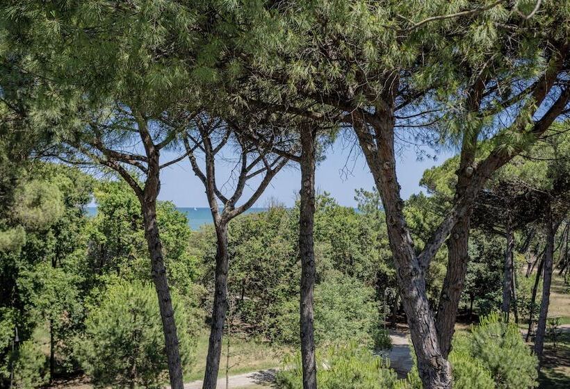 패밀리 룸, Stella Del Mare