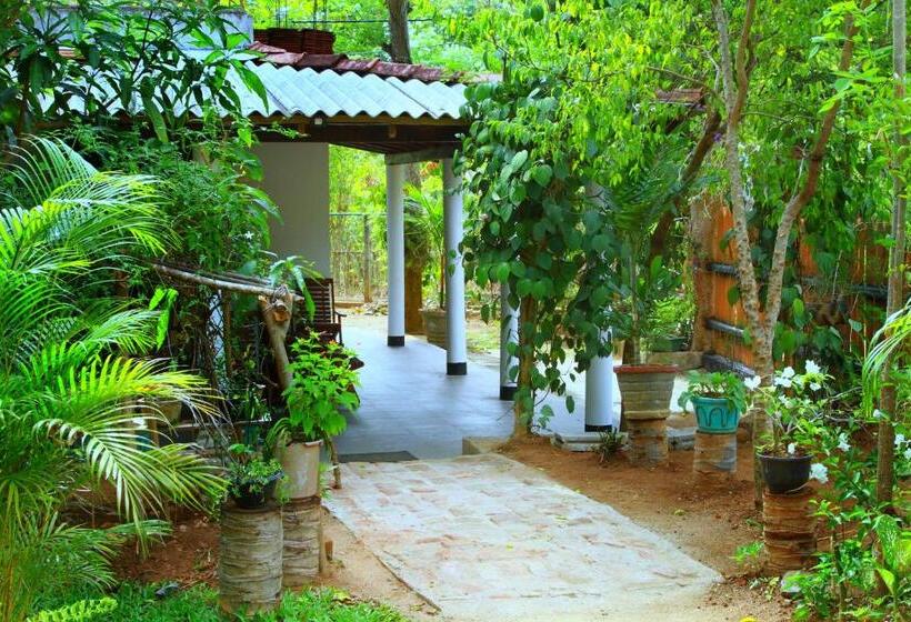 Quarto Estandar, Nature Park Udawalawe