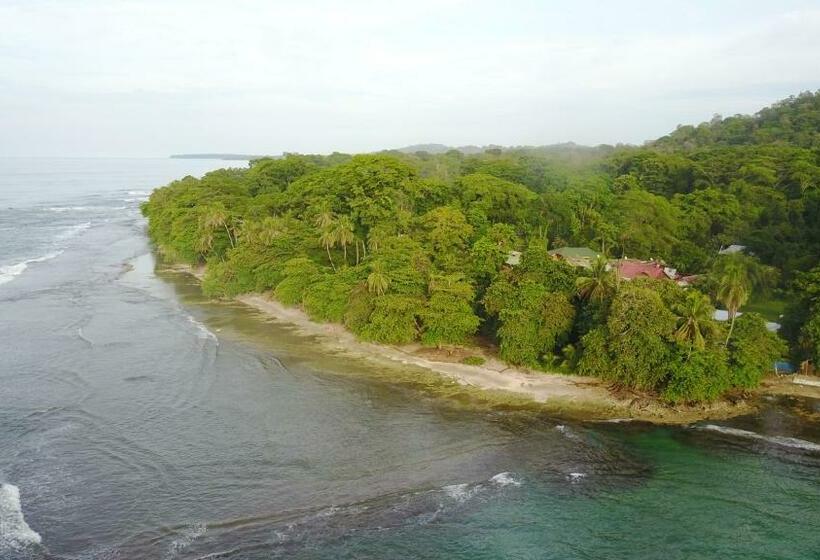 Номер Стандарт, Oasis