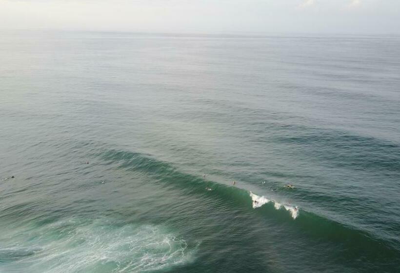 Номер Стандарт, Oasis