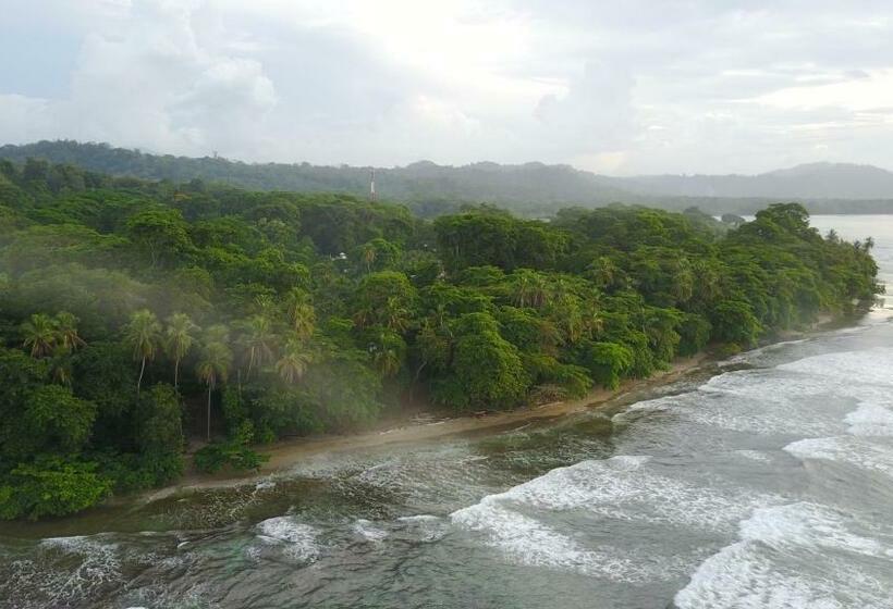 Номер Стандарт, Oasis